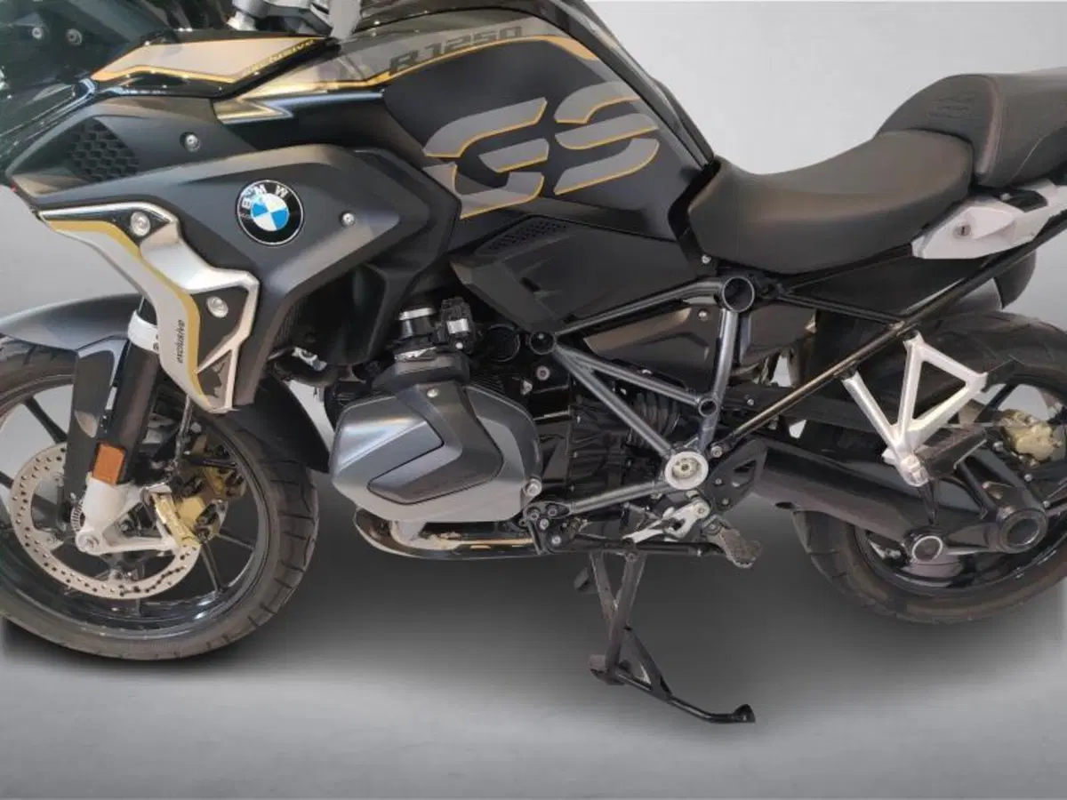 Bmw R 1250 GS (2019 - 20) (15)