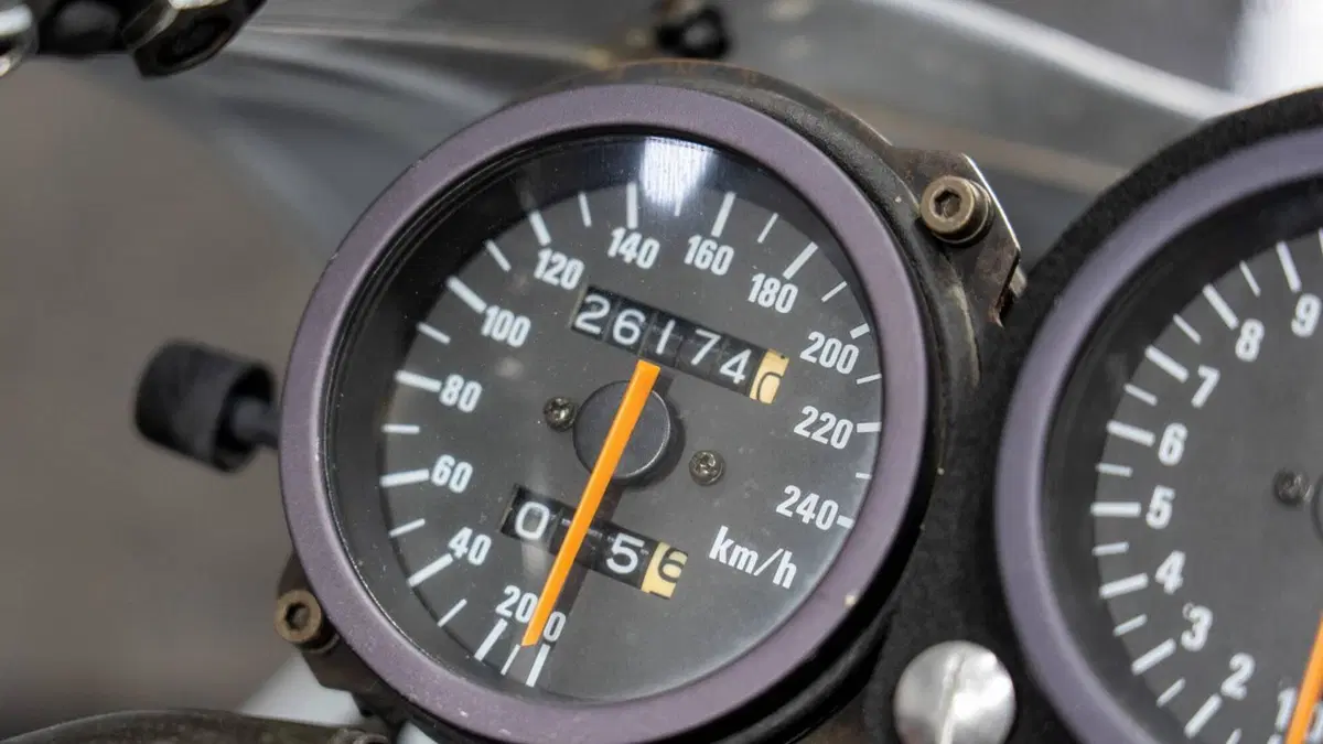 Suzuki RGV 250 VJ22 (20)