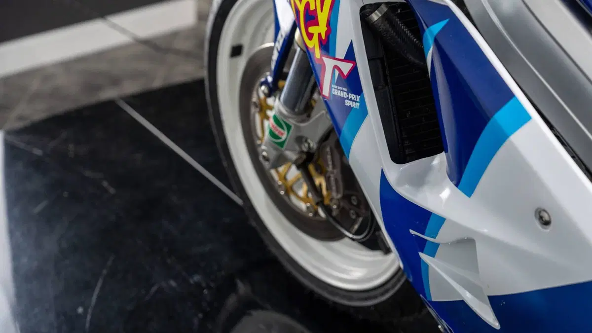 Suzuki RGV 250 VJ22 (5)