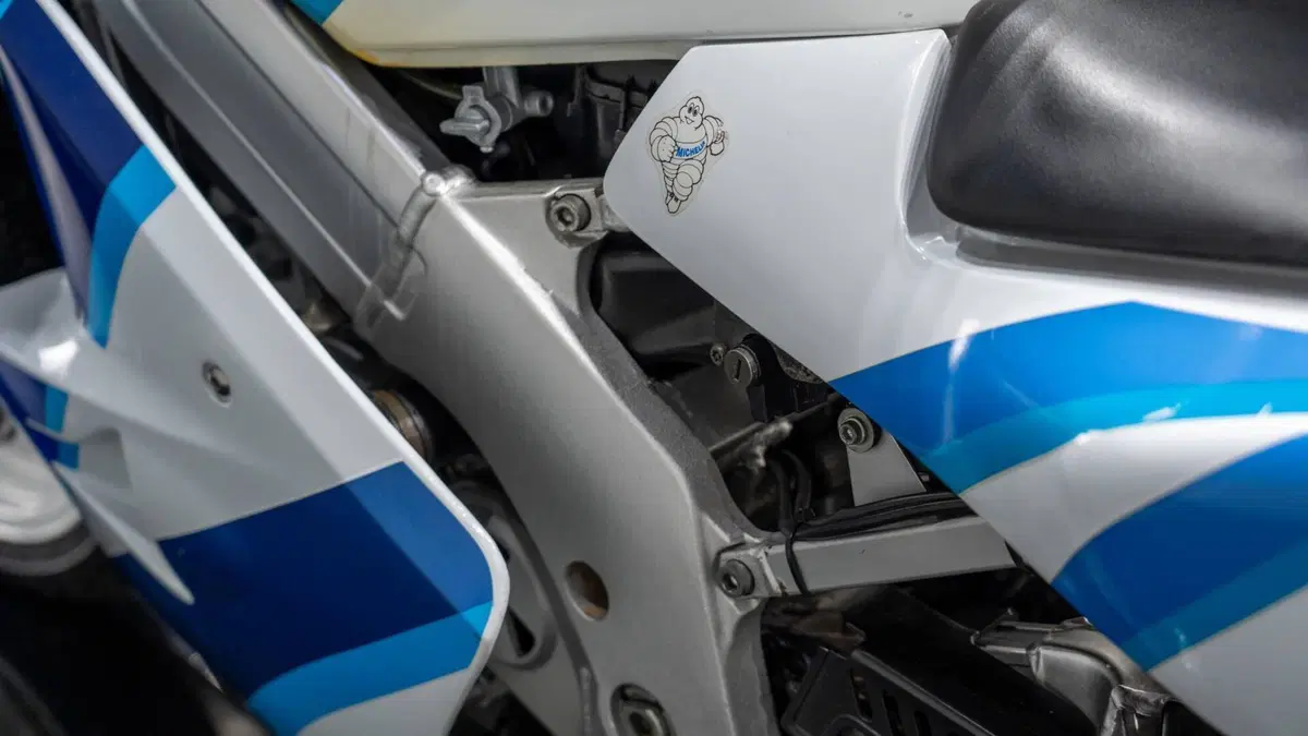 Suzuki RGV 250 VJ22 (6)