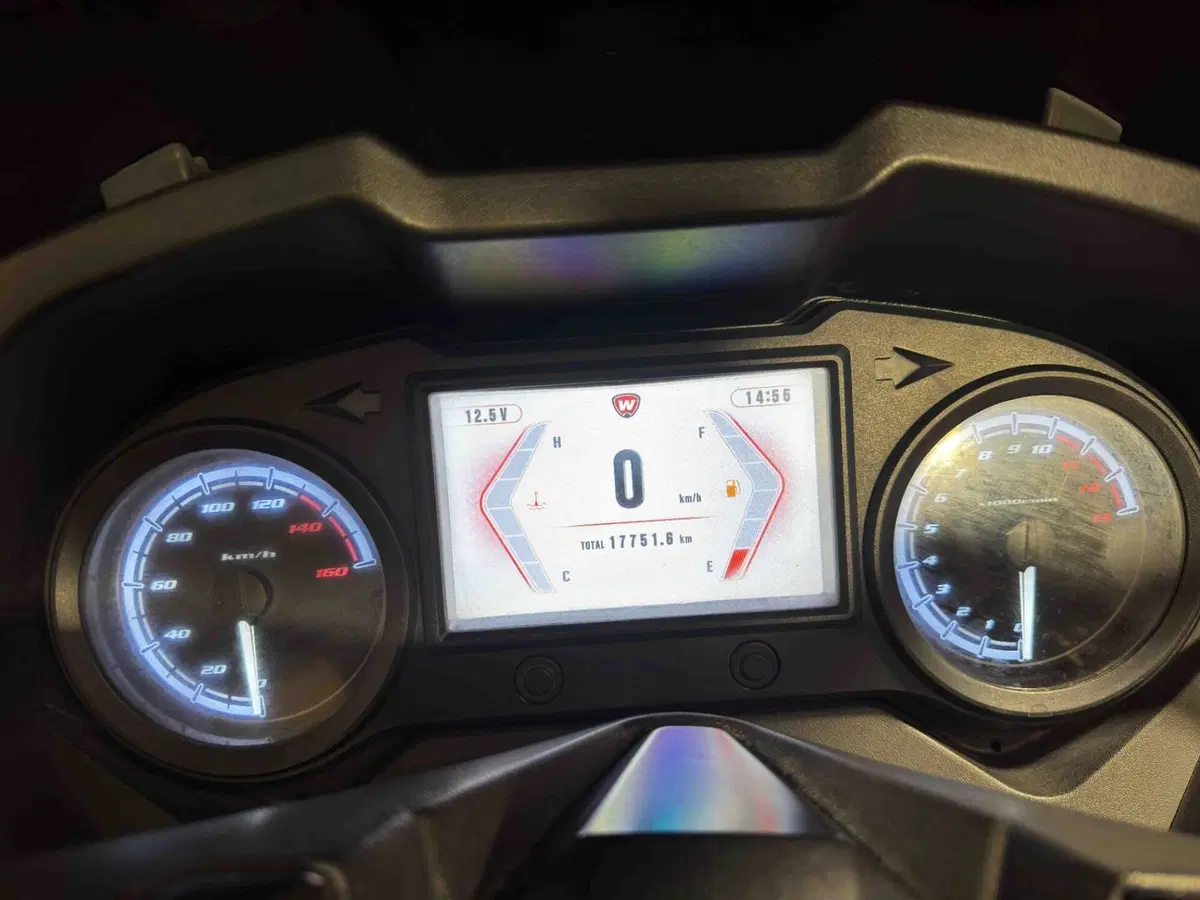 Wottan Motor Storm-S 300 (2020 - 25) (5)