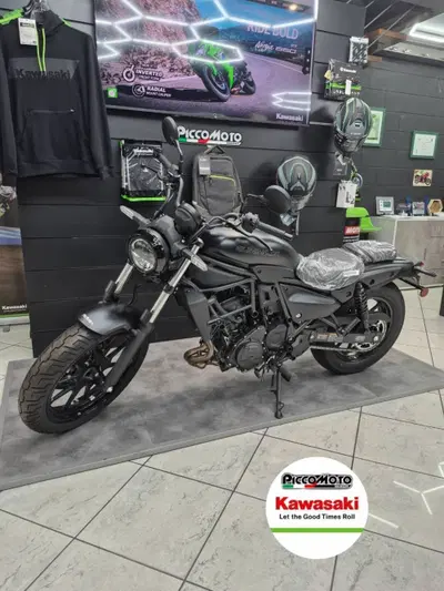 Kawasaki Eliminator 500 (2024 - 27) nuova