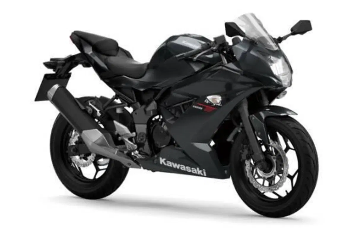 Kawasaki Ninja 125 (2025 - 27)