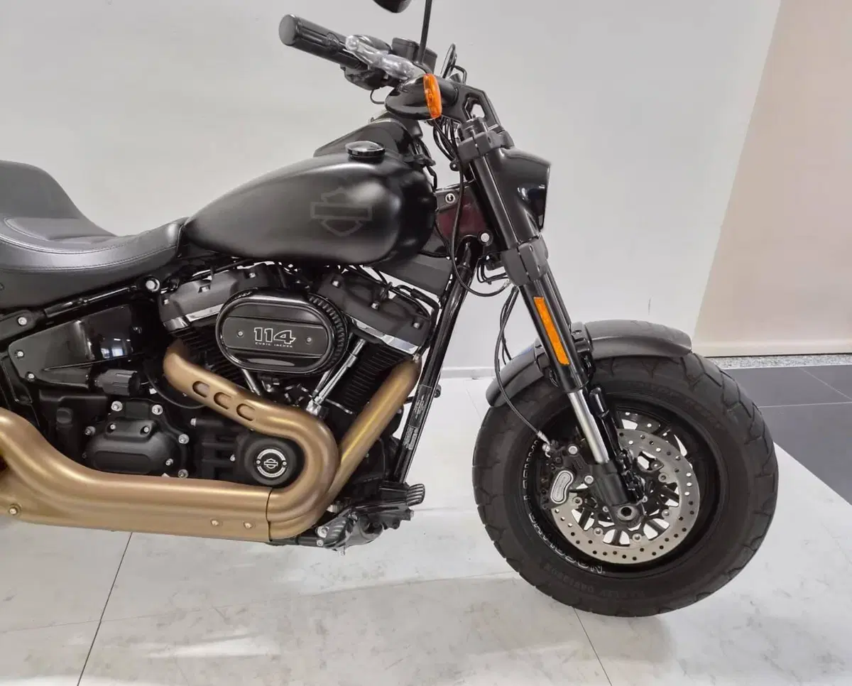 Harley-Davidson 114 Fat Bob (2018 - 20) - FXFBS (5)