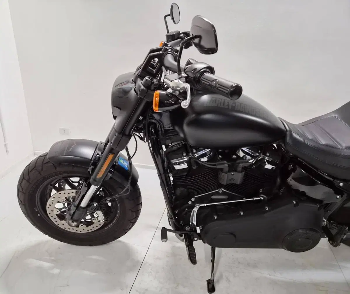 Harley-Davidson 114 Fat Bob (2018 - 20) - FXFBS (7)