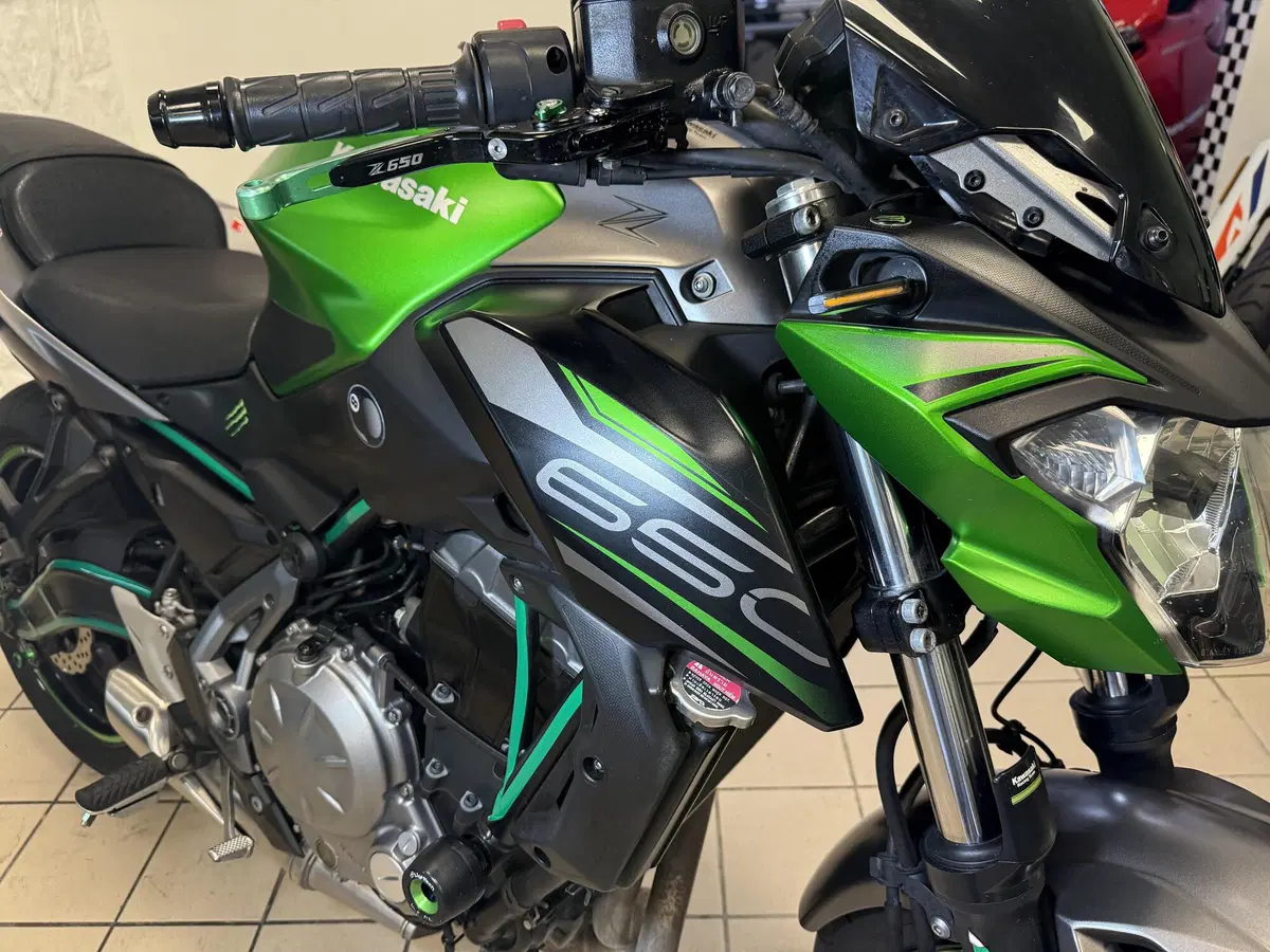 Kawasaki Z 650 (2017 - 19) (11)