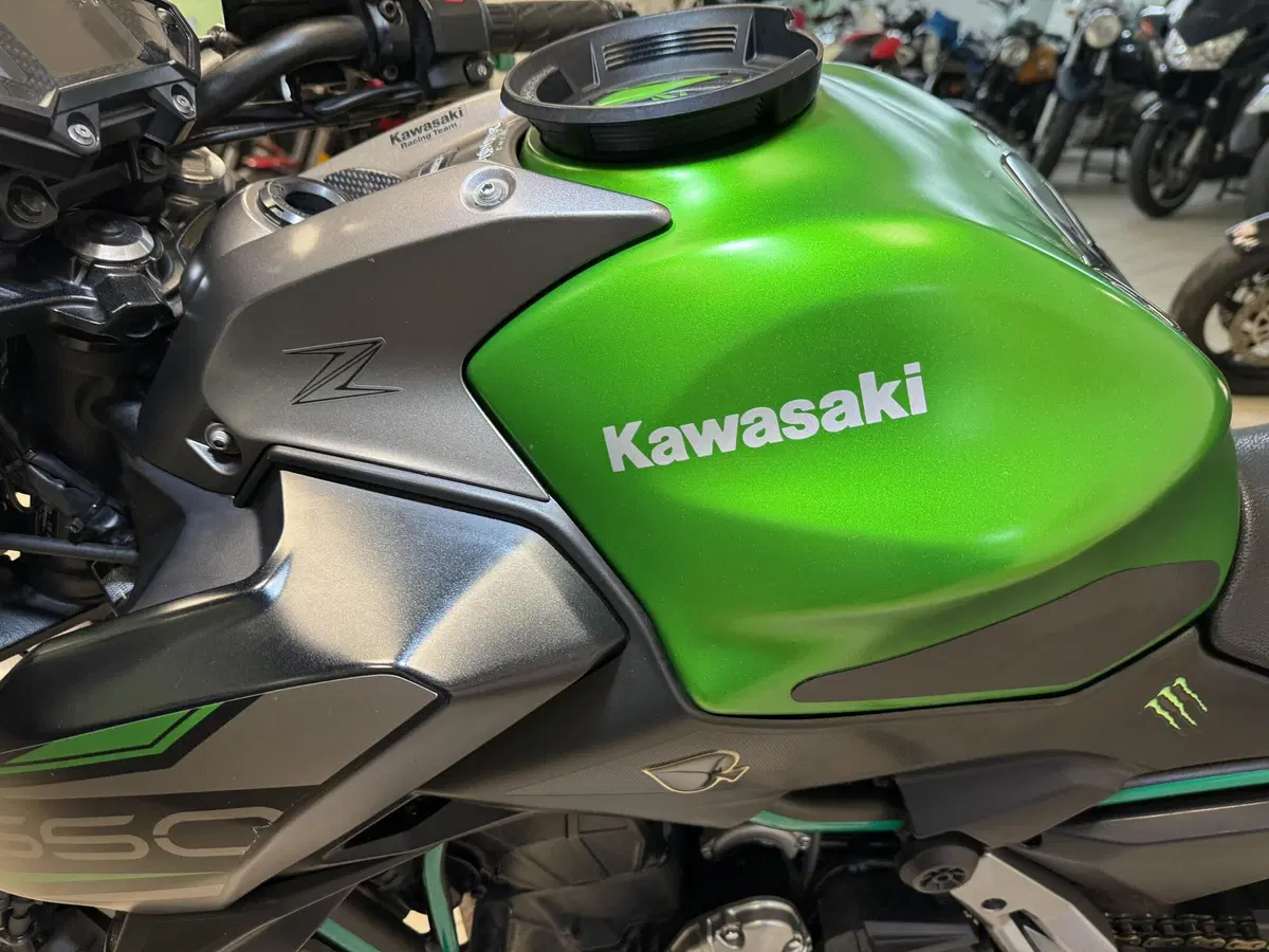 Kawasaki Z 650 (2017 - 19) (13)