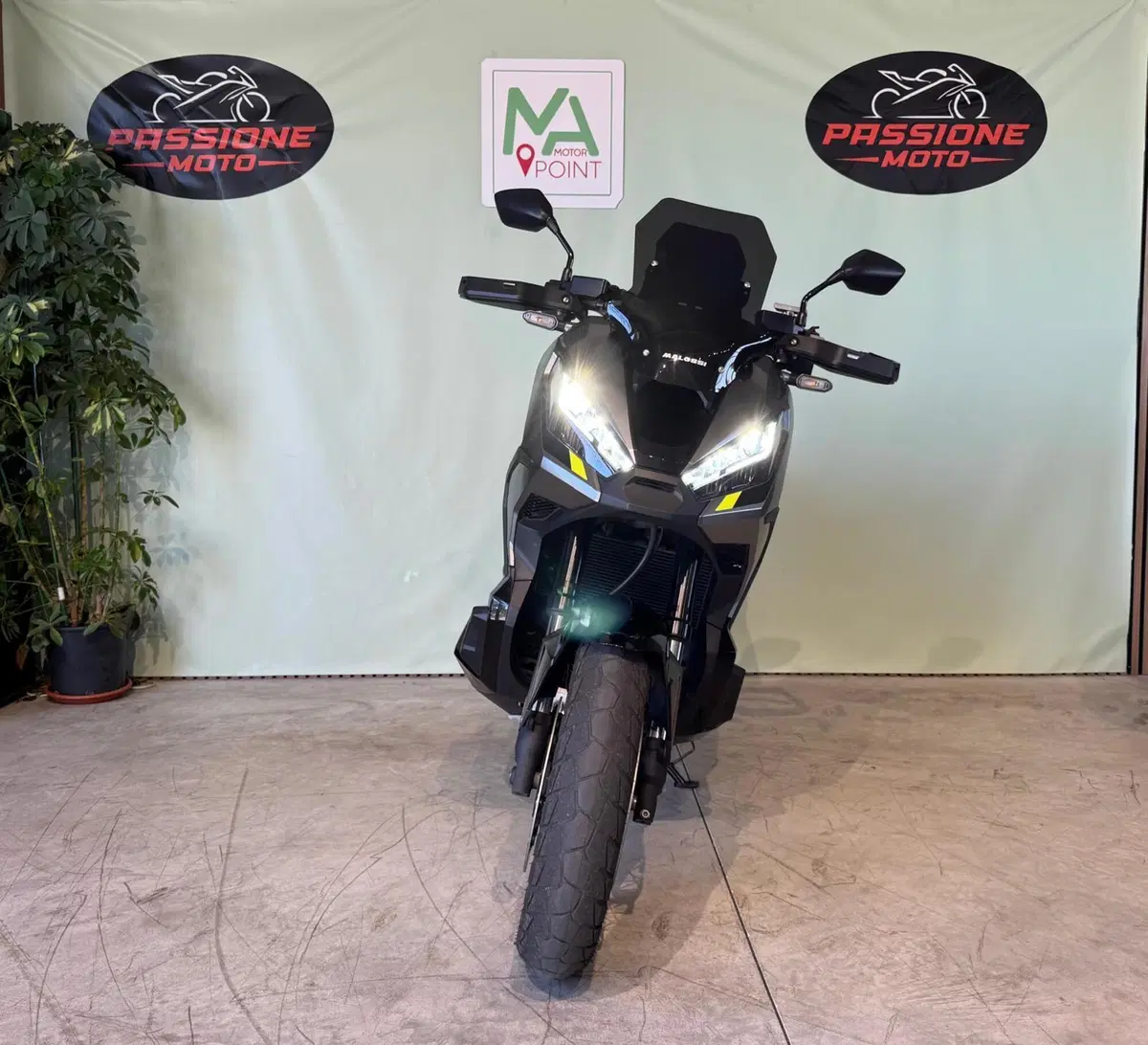 Honda X-ADV 750 Special Edition (2026 - 27) (5)