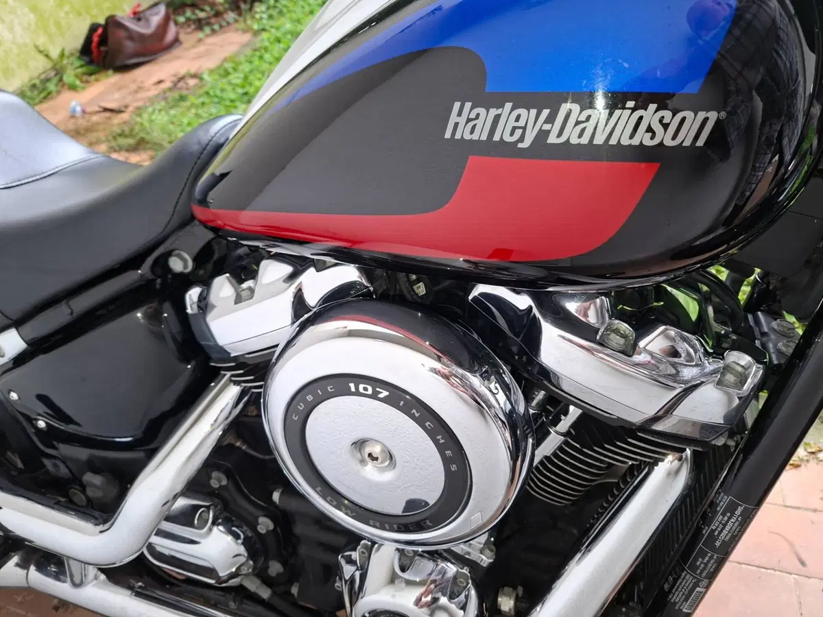Harley-Davidson 107 Low Rider (2018 - 20) - FXLR (7)