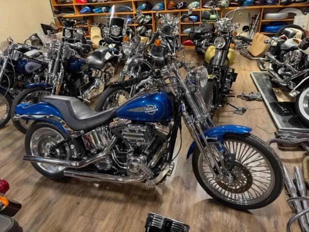 Harley-Davidson 1450 Springer (2005 - 06) - FXSTSI (20)