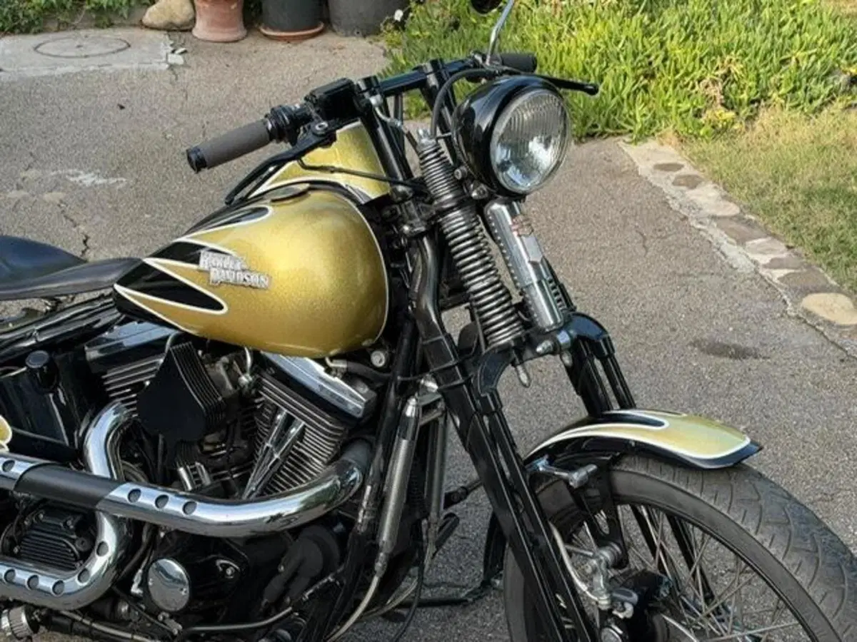 Harley-Davidson 1340 Bad Boy (1995 - 99) (3)