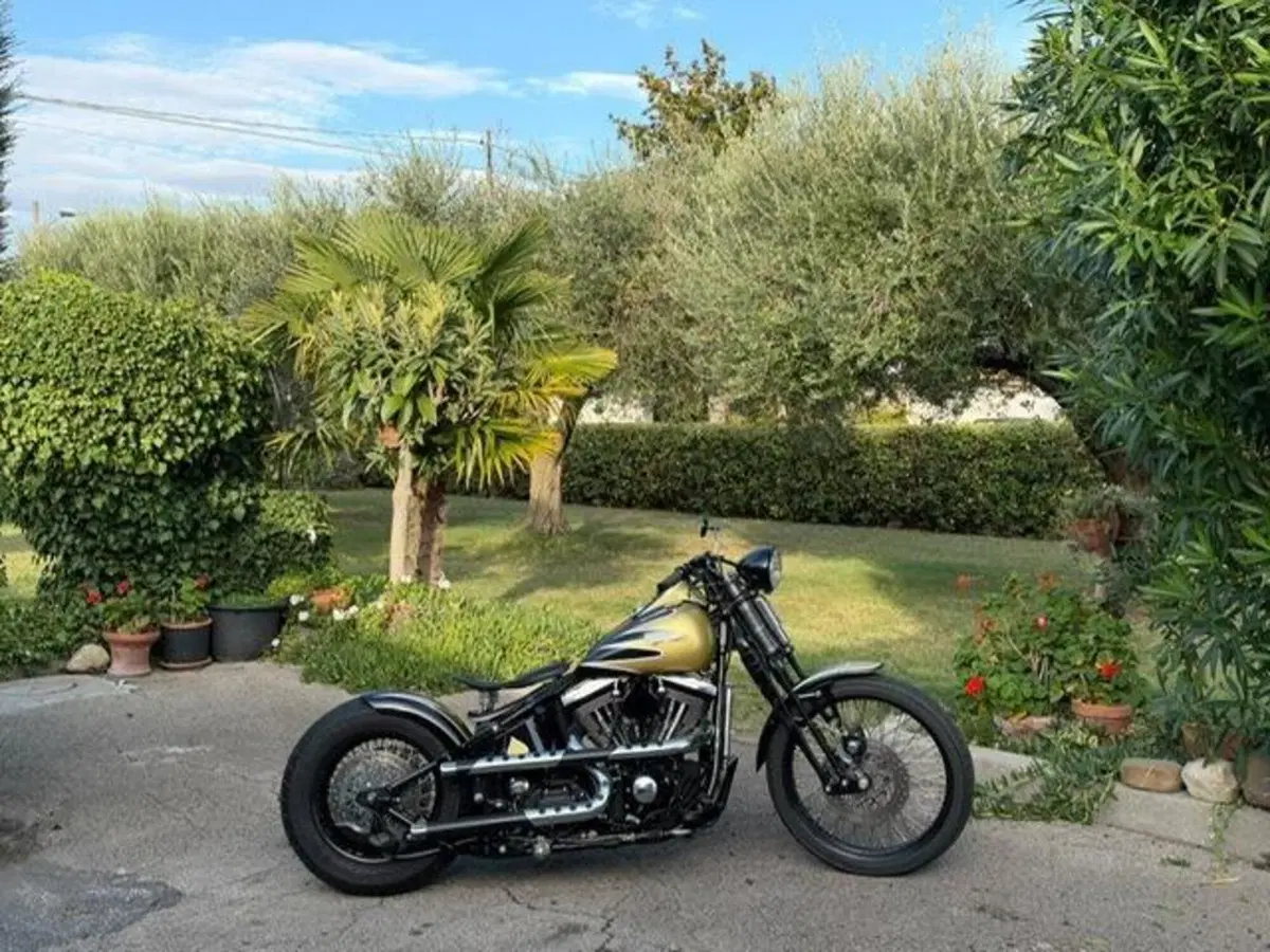 Harley-Davidson 1340 Bad Boy (1995 - 99) (4)