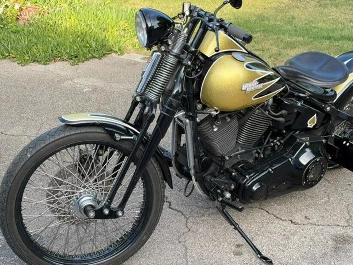Harley-Davidson 1340 Bad Boy (1995 - 99) (5)