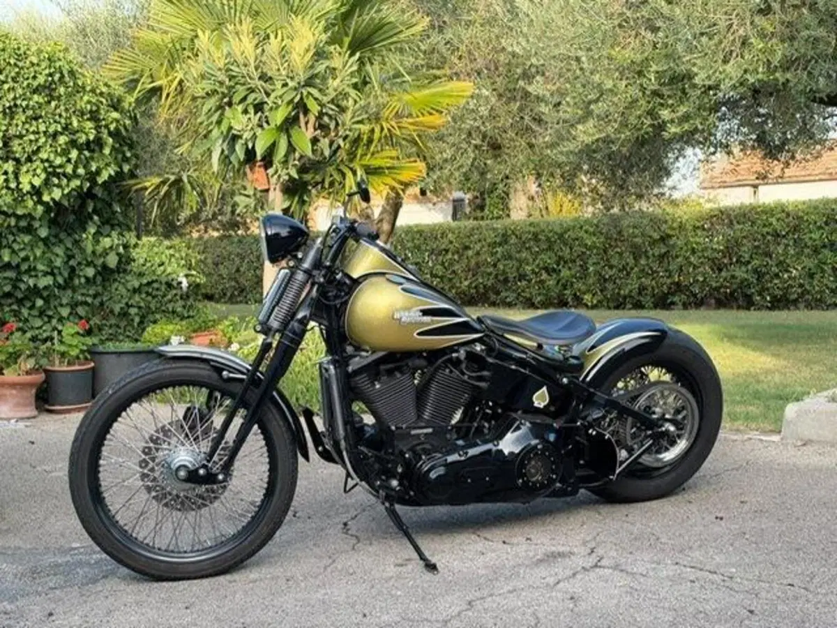 Harley-Davidson 1340 Bad Boy (1995 - 99) (6)