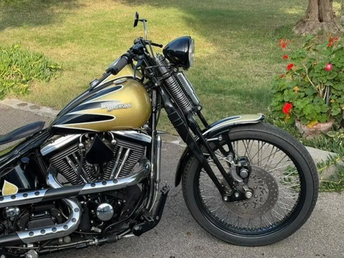 Harley-Davidson 1340 Bad Boy (1995 - 99) (7)