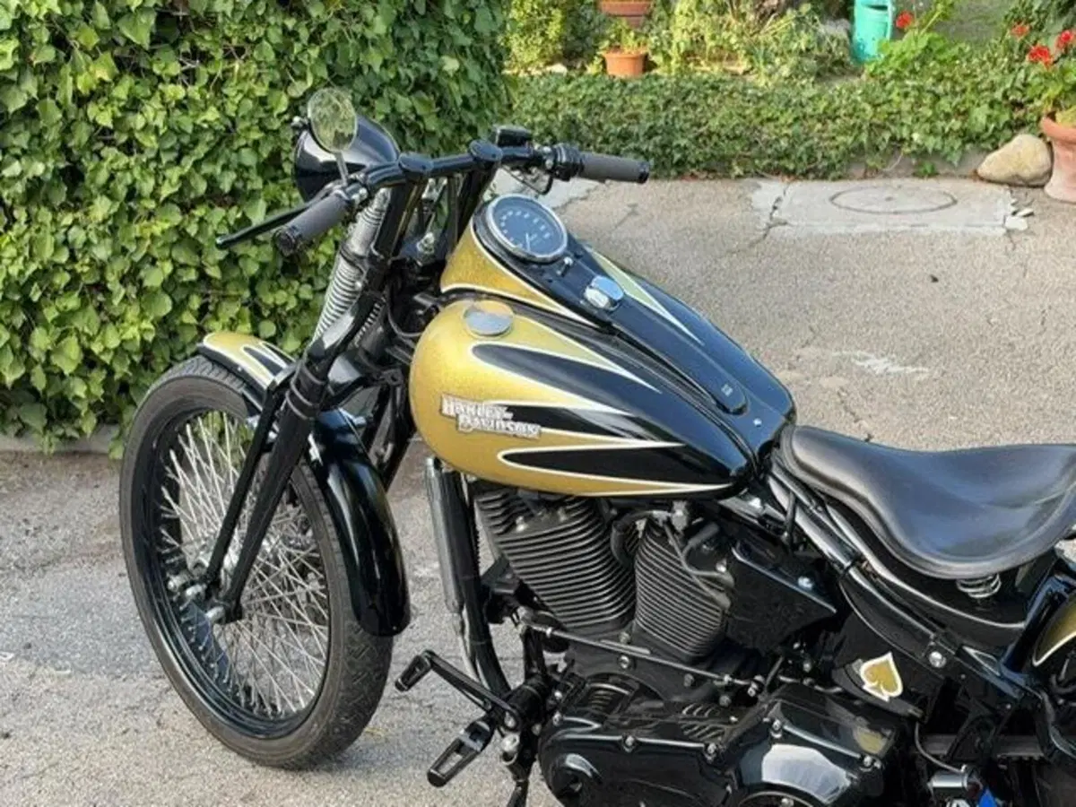 Harley-Davidson 1340 Bad Boy (1995 - 99) (10)