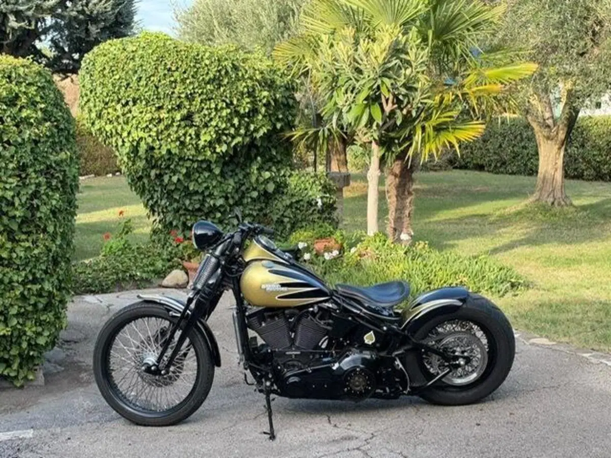 Harley-Davidson 1340 Bad Boy (1995 - 99) (11)
