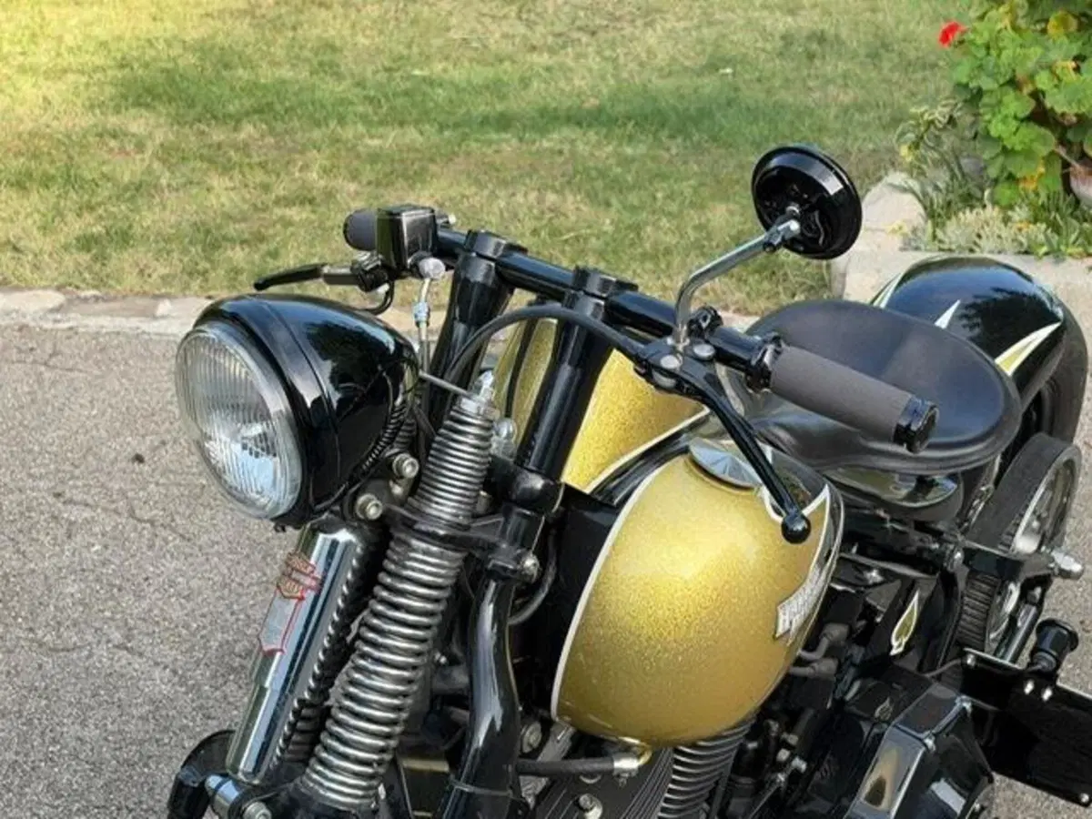 Harley-Davidson 1340 Bad Boy (1995 - 99) (12)