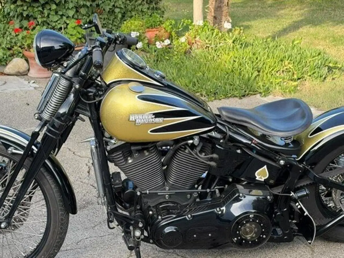 Harley-Davidson 1340 Bad Boy (1995 - 99) (13)
