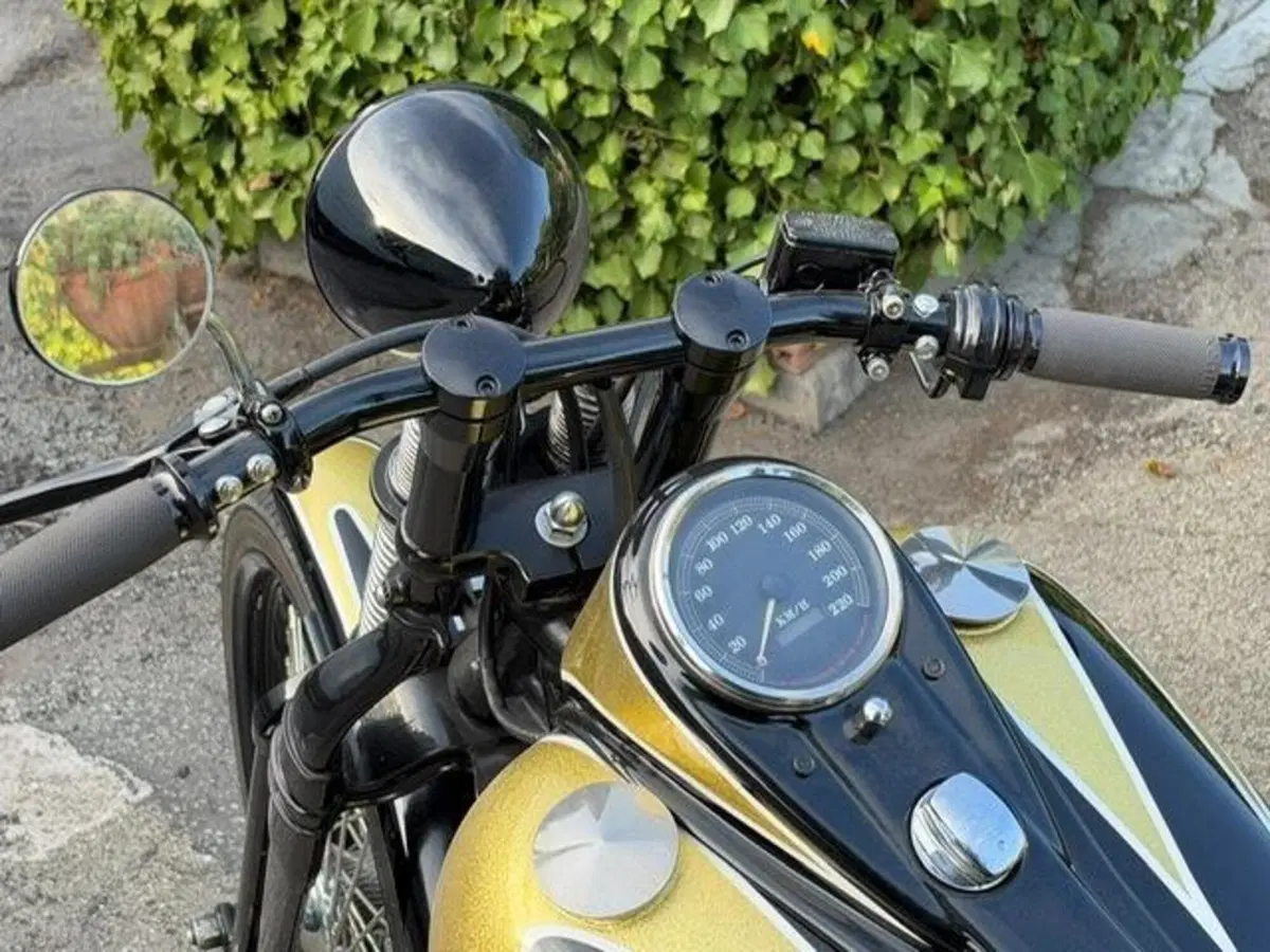 Harley-Davidson 1340 Bad Boy (1995 - 99) (15)