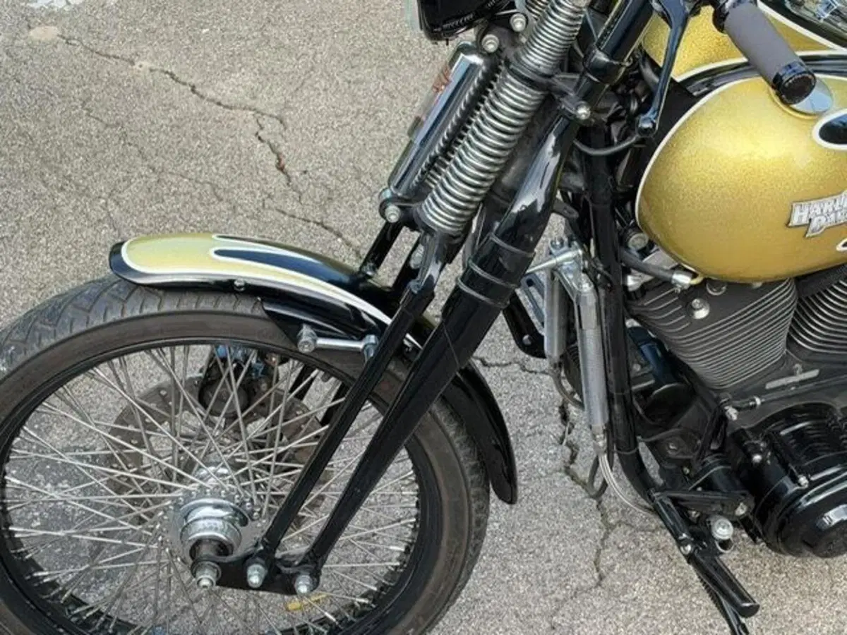 Harley-Davidson 1340 Bad Boy (1995 - 99) (19)
