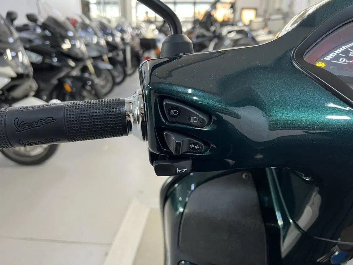Vespa GTS 300 Super Hpe (2018 - 19) (6)