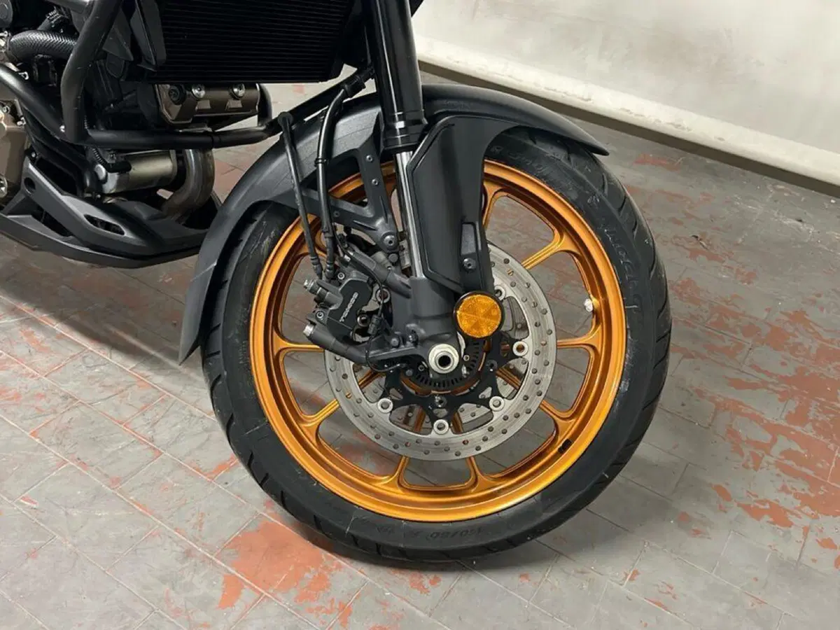 Suzuki V-Strom 1050SE (2023 - 24) (11)