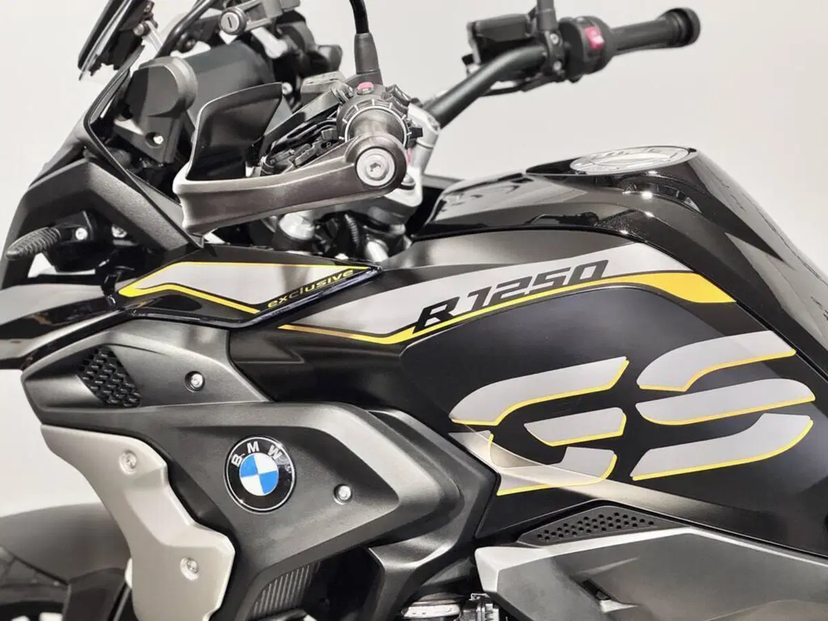 Bmw R 1250 GS (2019 - 20) (6)