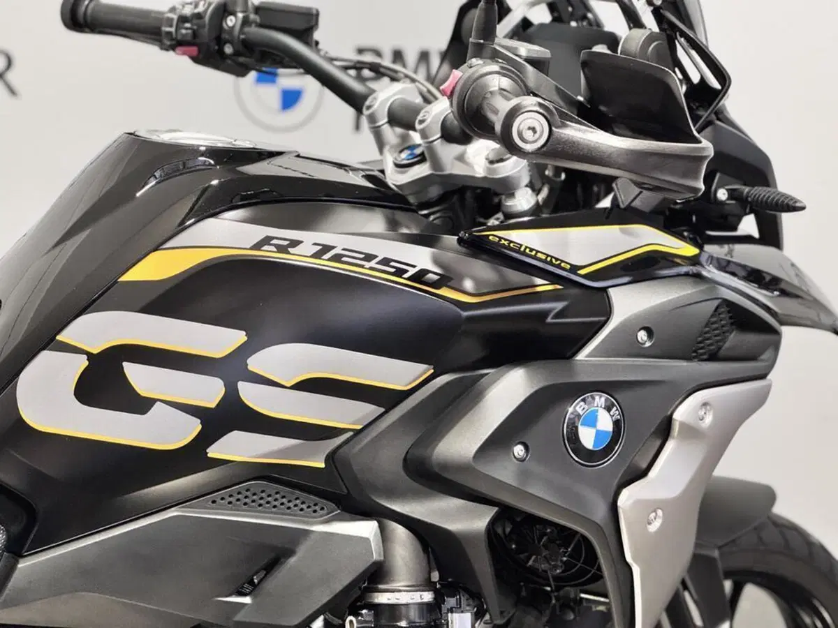 Bmw R 1250 GS (2019 - 20) (15)