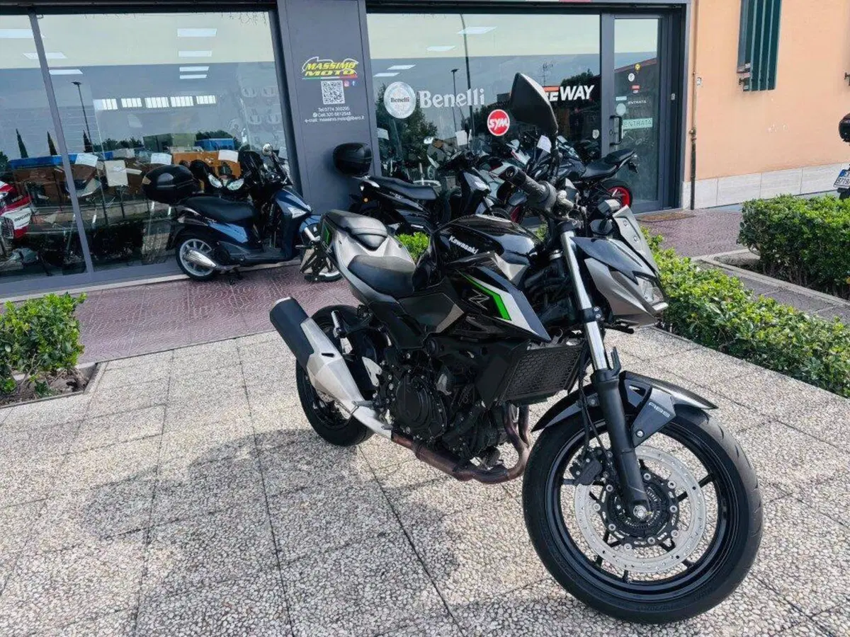 Kawasaki Z 500 (2024 - 27) (7)