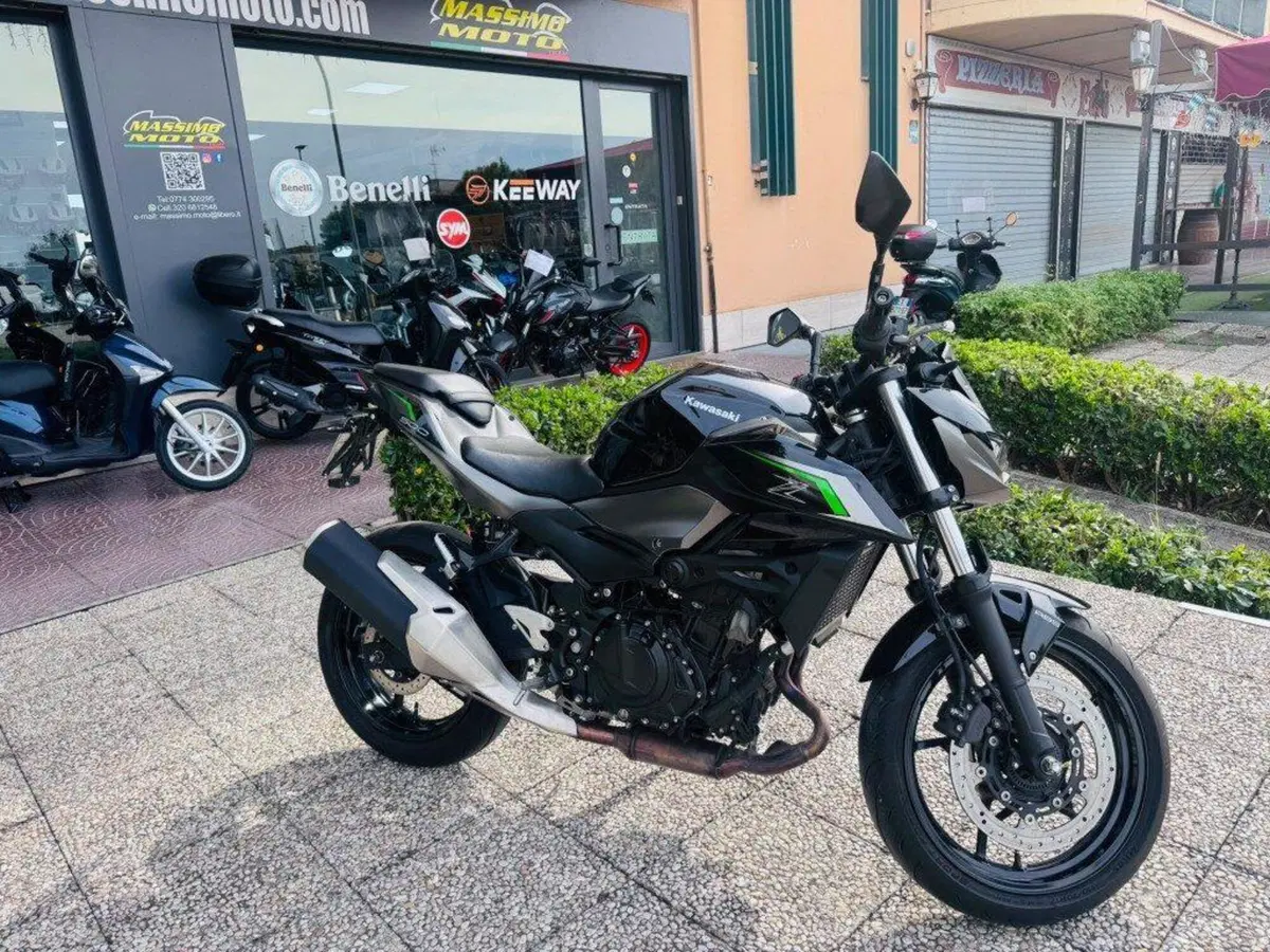 Kawasaki Z 500 (2024 - 27) (3)