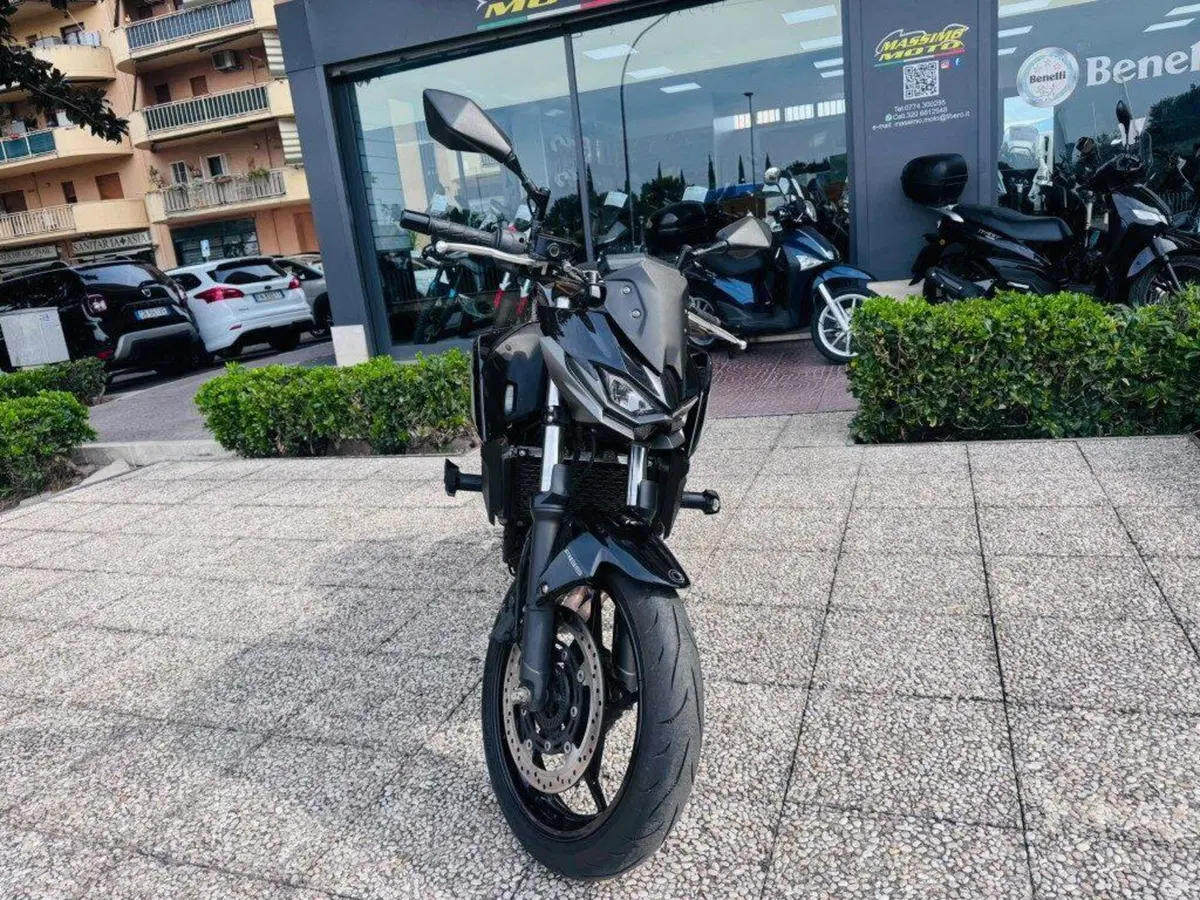 Kawasaki Z 500 (2024 - 27) (6)