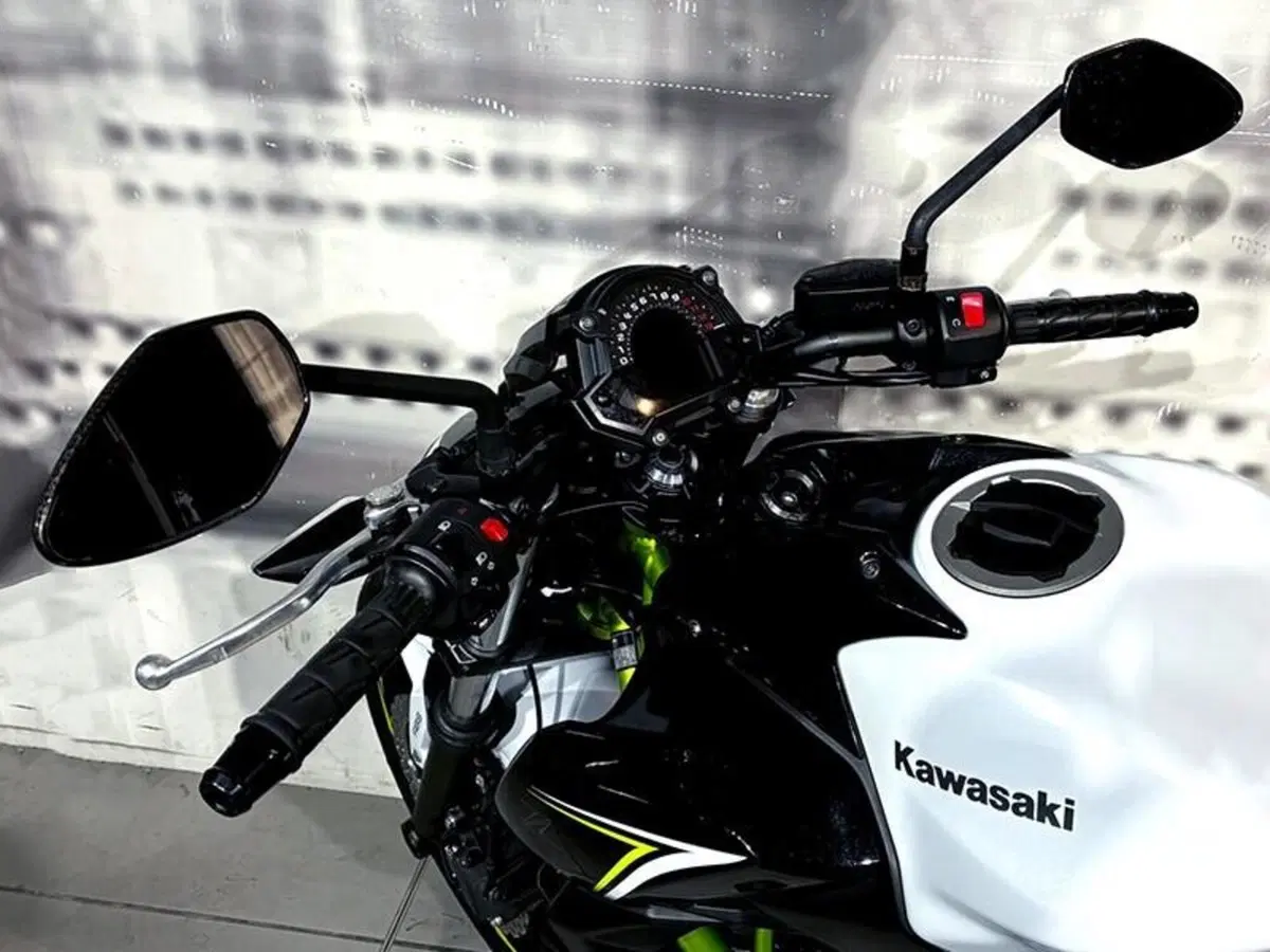 Kawasaki Z 650 (2017 - 19) (6)