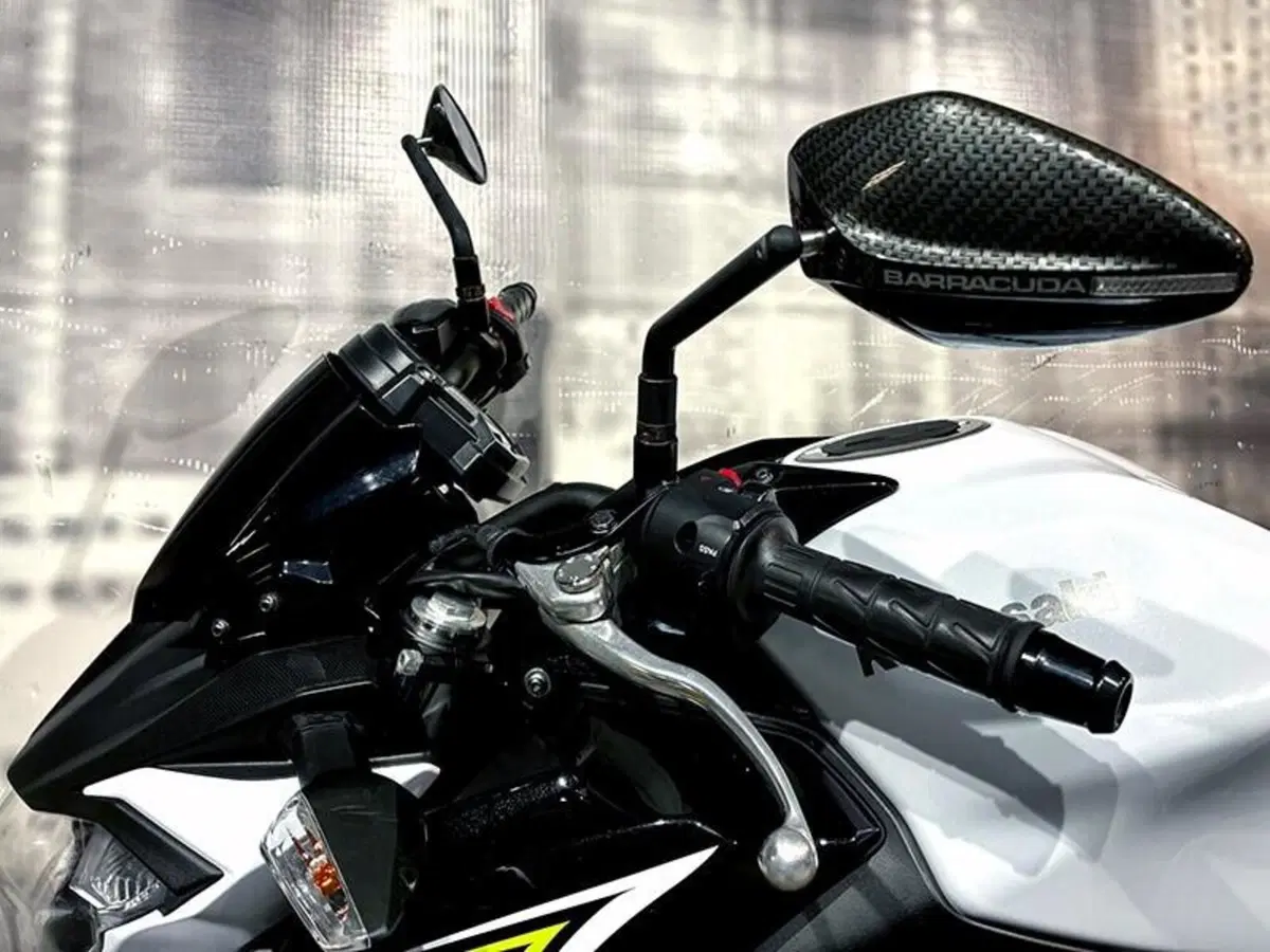 Kawasaki Z 650 (2017 - 19) (9)