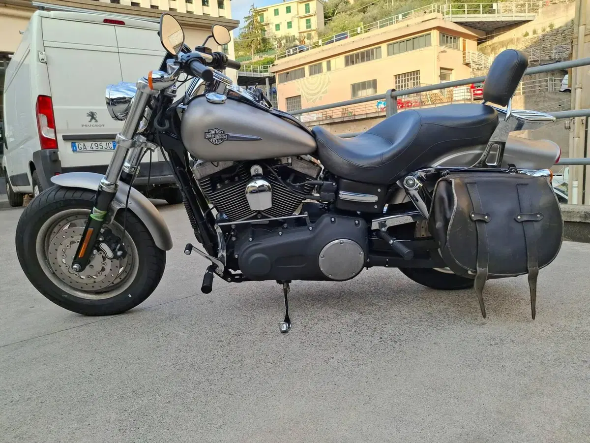 Harley-Davidson 1584 Fat Bob (2007 - 13) - FXDF (2)