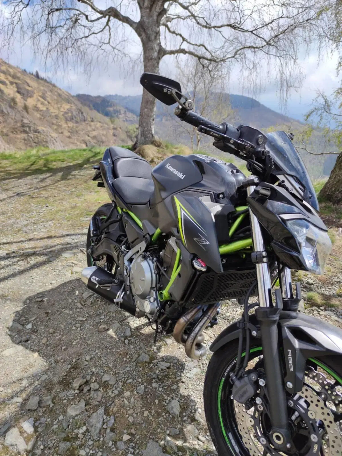 Kawasaki Z 650 (2017 - 19) (2)