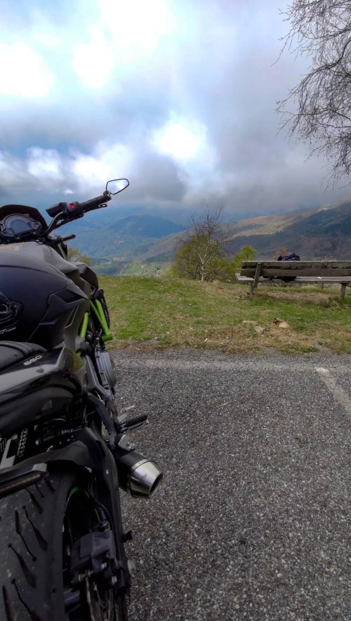 Kawasaki Z 650 (2017 - 19) (3)