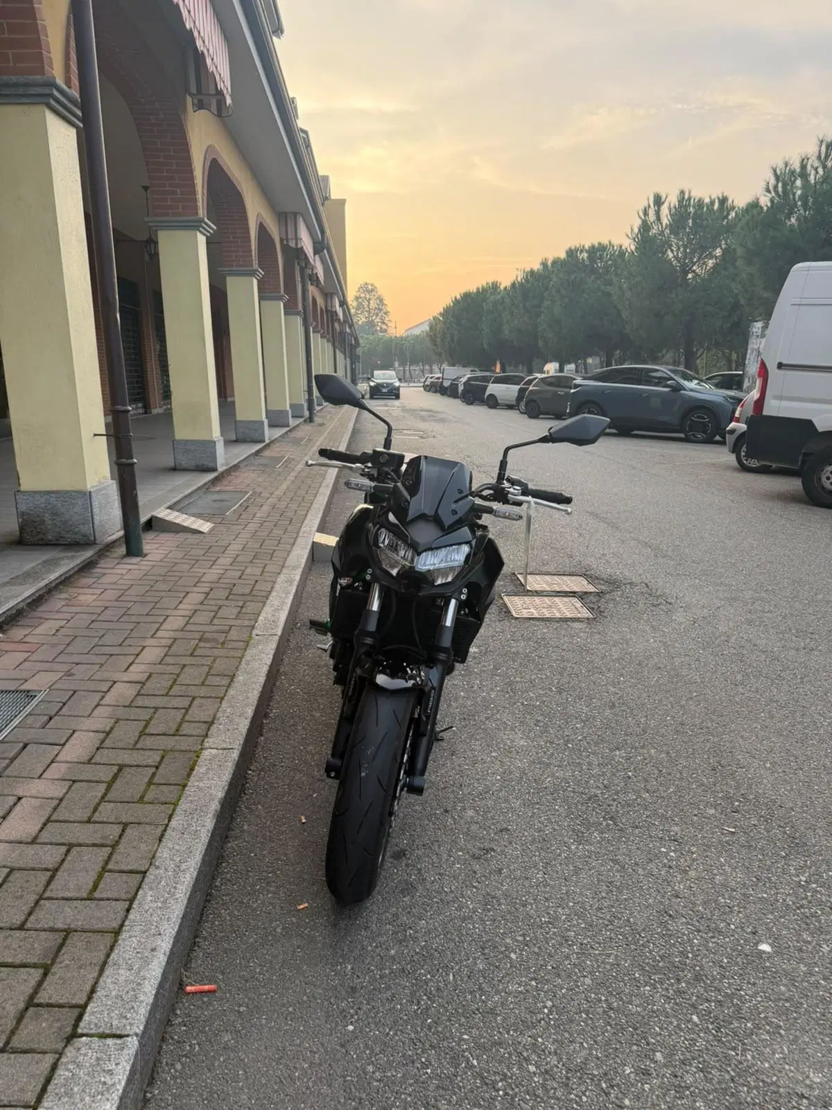 Kawasaki Z 650 (2025 - 27) (5)