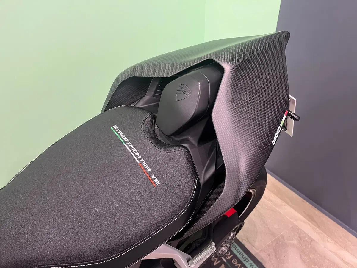 Ducati Streetfighter V2 (2022 - 24) (11)