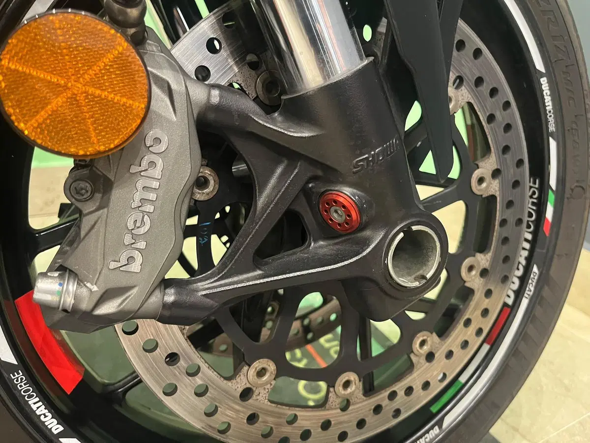 Ducati Streetfighter V2 (2022 - 24) (20)