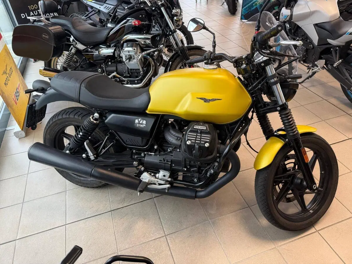 Vendo Moto Guzzi V7 Stone (2021 - 24) usata a Monfalcone (codice ...