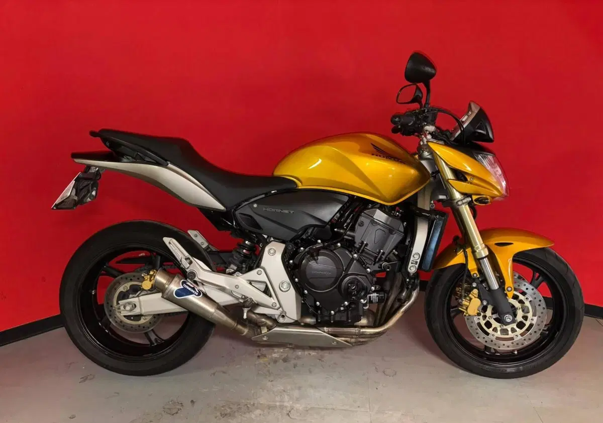 Honda Hornet 600 (2007 - 10)