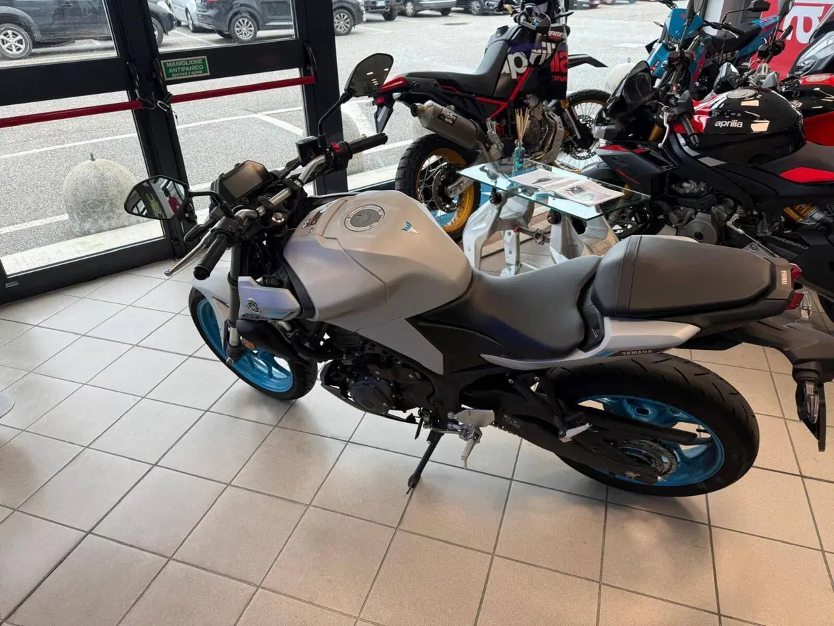 Yamaha MT-03 (2025 - 26) (6)