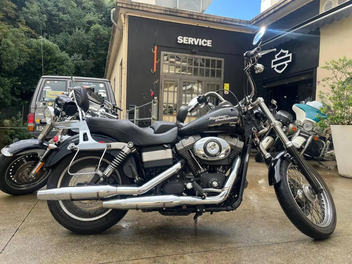 Harley-Davidson 1584 Street Bob (2007) - FXDB