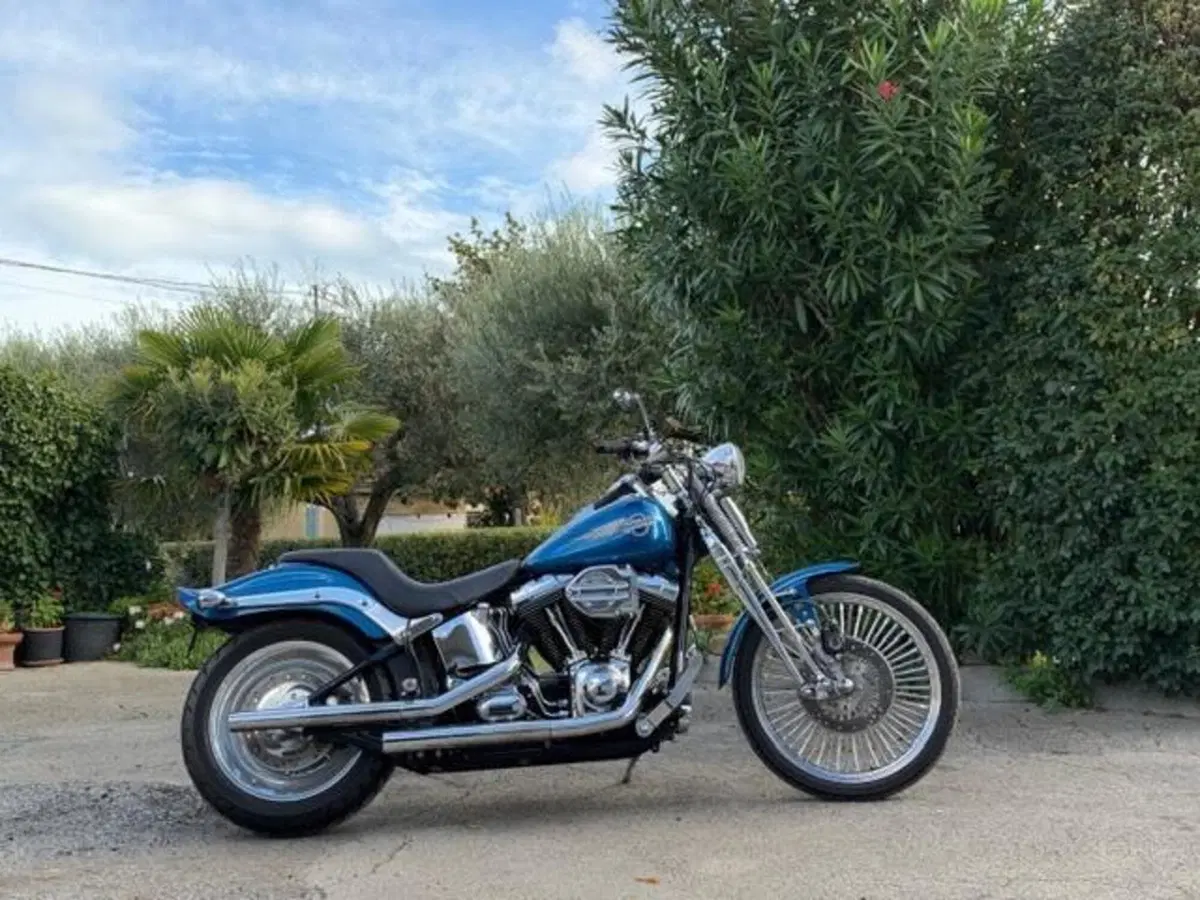 Harley-Davidson 1450 Springer (2005 - 06) - FXSTSI