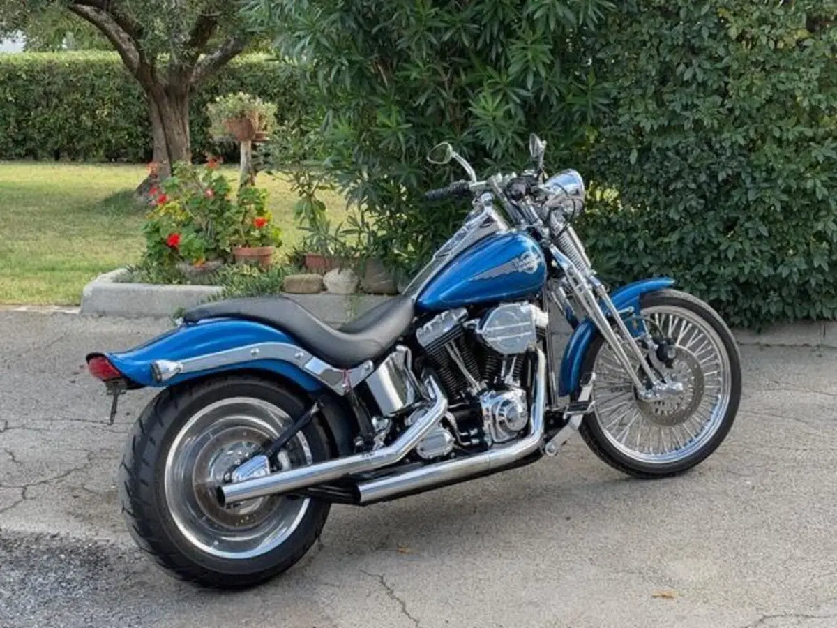 Harley-Davidson 1450 Springer (2005 - 06) - FXSTSI (2)