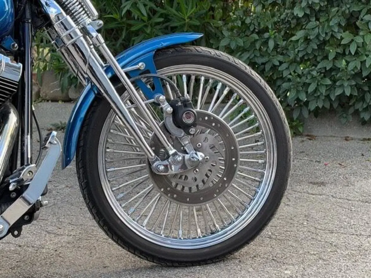 Harley-Davidson 1450 Springer (2005 - 06) - FXSTSI (3)