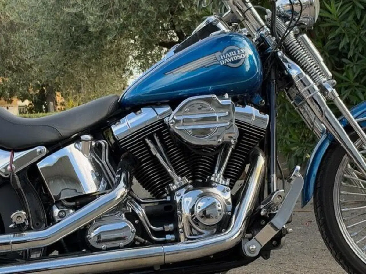 Harley-Davidson 1450 Springer (2005 - 06) - FXSTSI (4)