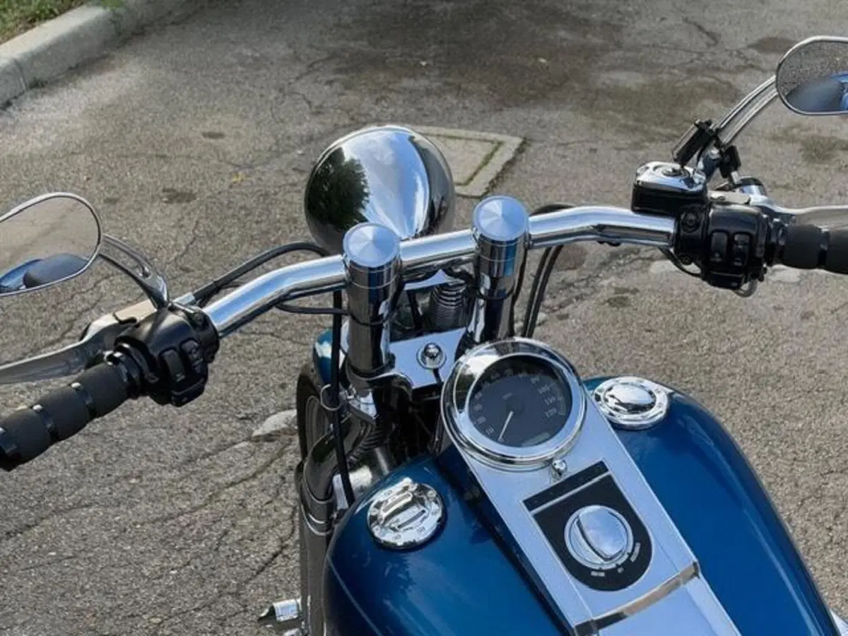 Harley-Davidson 1450 Springer (2005 - 06) - FXSTSI (8)