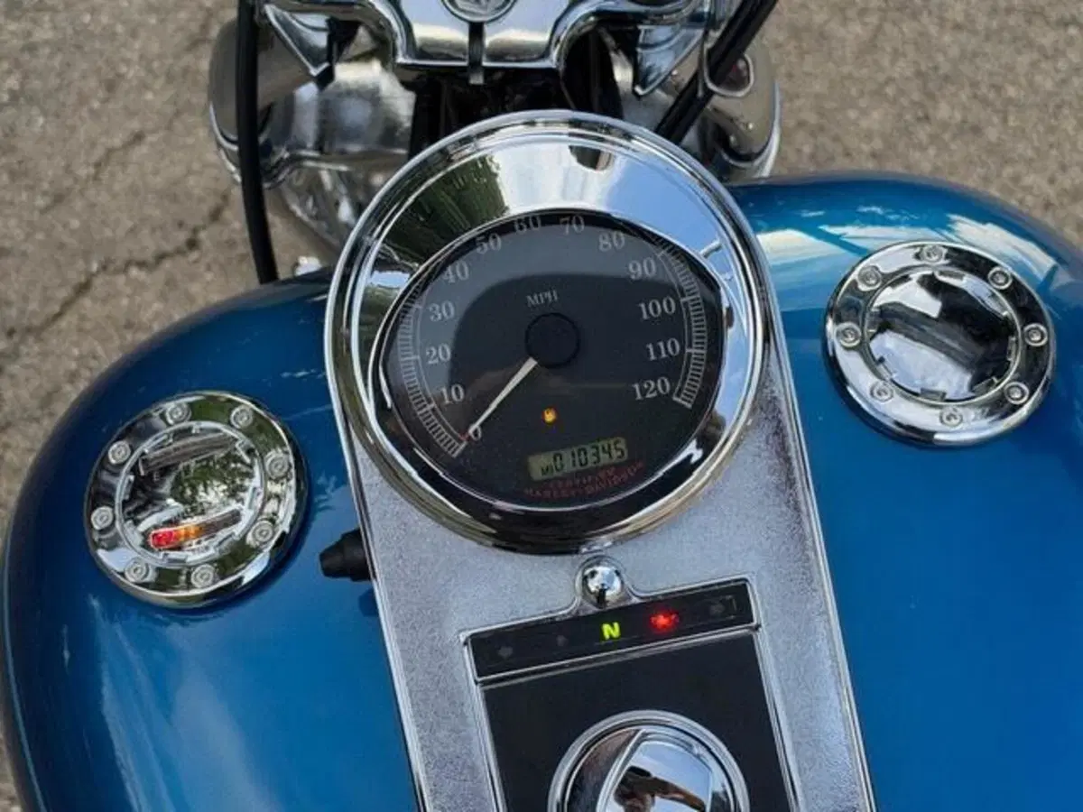 Harley-Davidson 1450 Springer (2005 - 06) - FXSTSI (9)